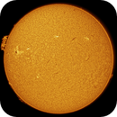 11 jul 25 - 0751ut - ha - full disk, Leela.Astro.Imaging