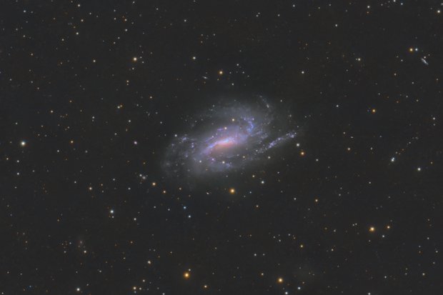 NGC 925