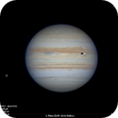 Jupiter, Io with shadow, and Calisto 17/07/2020, Javier_Fuertes