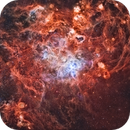 Tarantula Nebula, danieldh206