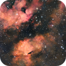 NGC 6910 - LBN249 - LBN 245, Reinhold Lamb
