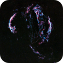 Veil nebula (NGC 6960) in Cygnus loop in dual narrowband OSC, Gael Gibert