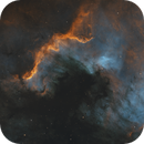 NGC7000 - North America nebula in SHO, Dennis Meng