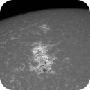 Sun Calcium 393.4 nm 06.06.2025, Olegs_Astrophotography