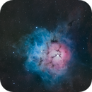 M 20 - June 2025, Dan Pritzl