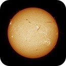 Sun FD in H-Alpha 9th of July 2025 - Colorized, Arne Danielsen