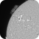 AR4136 & hedgerow prominence, hughsie