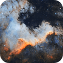 Cygnus Wall, Ákos Takács