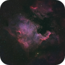 North America Nebula in L-RGB, DrNigel