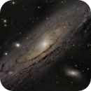 M 31, Phillip Klein
