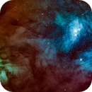 Center of Rho Ophiuchi complex - LDN-1686, Natalie Sigalovsky