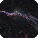 Five hours of the Western Veil, Catherine Ryan Hyde