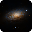 Messier-63 in Canes Venatici, Alberto Lopez