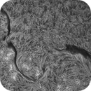 Sun H-alpha: Chromosphere 28.04.2025, Olegs_Astrophotography