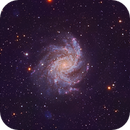NGC6946 - Fireworks Galaxy, Ross Salinger