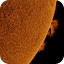 4 jul 25 - 0940ut - ha - yet more proms on another part of the limb, Leela.Astro.Imaging