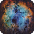 Elephant Trunk Nebula, SHO with RGB stars (2024 data), Jamie Smith