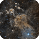 LDN 1100 - Cosmic Starfish, Michael Jarvis