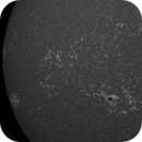 Sun Calcium 393.4 nm 16.06.2025, Olegs_Astrophotography