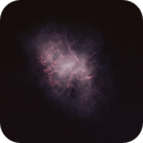 M1, the Crab, starless and otherwise, Catherine Ryan Hyde