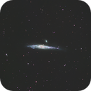 NGC 4631, The Whale, fjwidmann