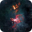 The STATUE OF LIBERTY Nebula (NGC 3576), Richard Posener