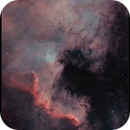 NGC 7000 - The Great Wall, Wolfgang Ransburg