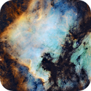 North America Nebula (SHO with RGB Stars, ~18 hours), Jamie Smith