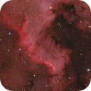 Cygnus Wall - First light, new telescope, Klaus Haaken