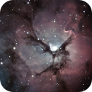 Trifid Nebula, @raphaelcoelhophoto