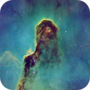 IC 1396: Elephant's Trunk in SHO with RGB Stars, Joel Lee