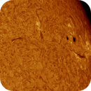 AR14115 AR14114 in h-alpha taken 22062025, nonsens2