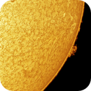 11 jul 25 - 0807ut - ha - mosaic of ar 4137 30 34 and proms on departing limb, Leela.Astro.Imaging