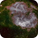 Lower's Nebula SH2-261 SHO, Peter Bresler