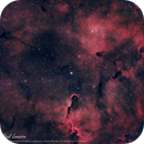IC 1396 (Nébuleuse de la Trompe d'Éléphant) ASKAR FRA 400, ASI 533MC Pro, Optolong L-Extreme, 12 x 600 sec, Paul lemaire
