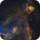 Heart Nebula in Hubble Palette, Bozo