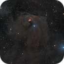 NGC 1555 (Hind’s Variable Nebula), Alpha Zhang