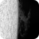 Eastern + western part of the Sun with proms on July 6th, 2025, Michael von Berner-Purgstall