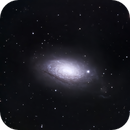Sunflower Galaxy, Bozo