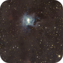 Iris Nebula (NGC 7023) with Seestar S50 in EQ Mode, Steven Christensen