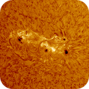 AR14115 AR14115 in h-alpha taken 22062025, nonsens2