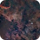 NGC7000, Manu Oliva