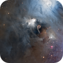 NGC 6729 - Corona Australis Molecular Cloud, Daniel Carter