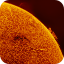 Sunspot and protuberances, Almos Balasi