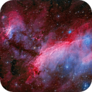 THE PRAWN NEBULA | DSO | LRGBHOO | 1134mm, Thomas ArtOfPix Großschmidt