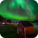 Aurora Borealis - Ramberg beach, Lofoten, Klaus Haaken
