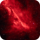Sh2-262 Hydrogen Emission Nebula, Dave Erickson