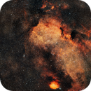 M24 Sagittarius Star Cloud, Reinhold Lamb