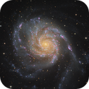 Pinwheel Galaxy (M101) with SN2023IXF, Alpha Zhang