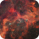 WR134+NGC6888+HIIemission network, Georg N. Nyman